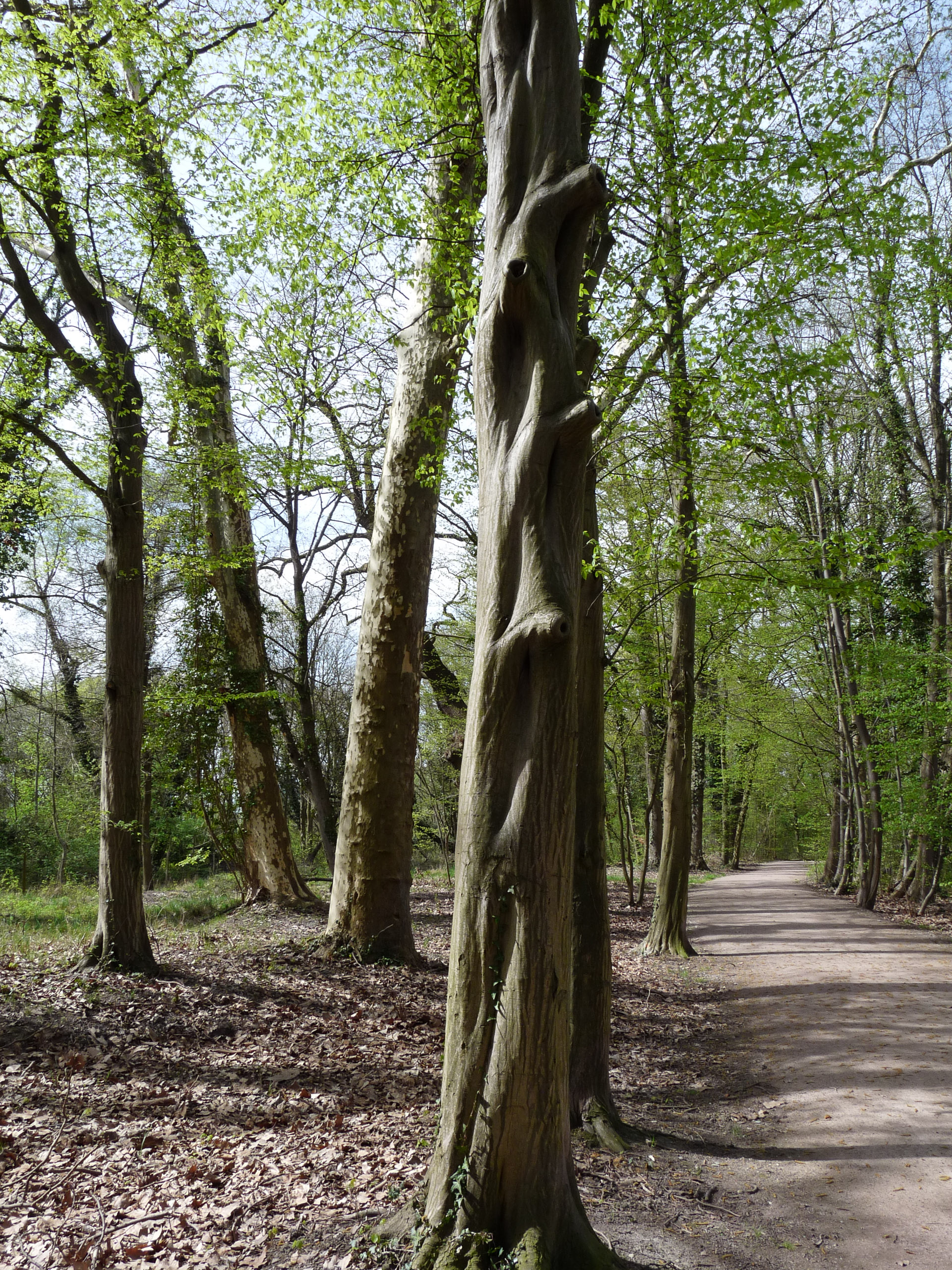 20180414144800 P1110045